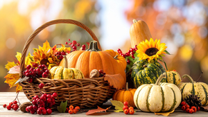 Closed for Thanksgiv